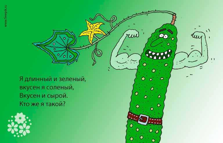 Загадки на образное мышление с ответами для 5 класса
