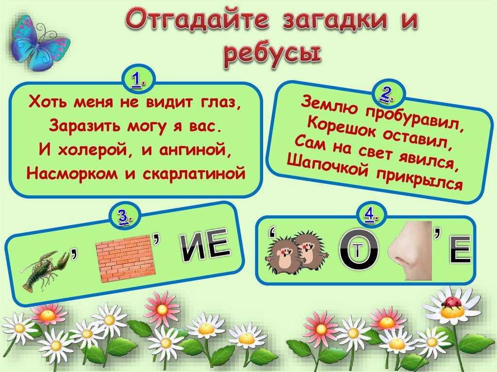 Викторина по географии для учащихся начальной школы с ответами