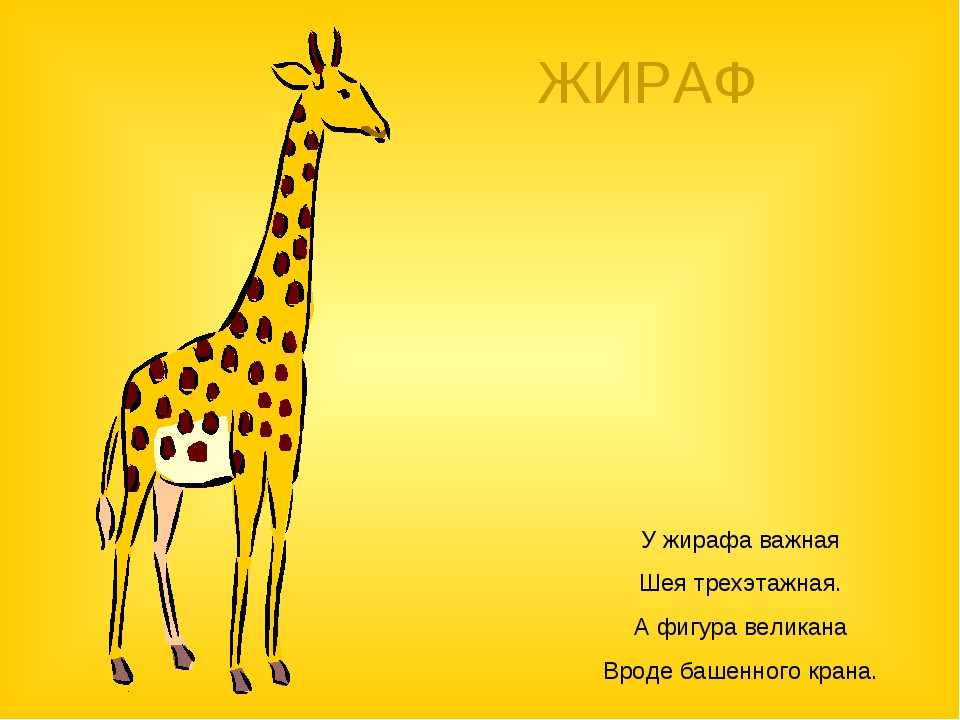 Сказка про животных в зоопарке, которые подружились с жирафом