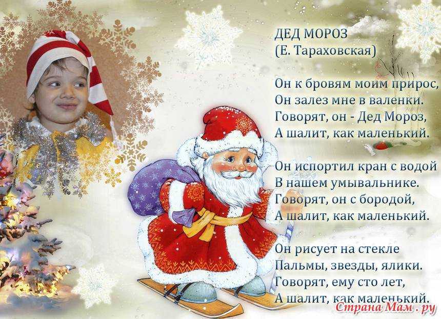 Стихи на новый год 2023 для детей и взрослых  – смешные, короткие для детского сада и утренников,  длинные и красивые, удобные для заучивания — тортомарафон