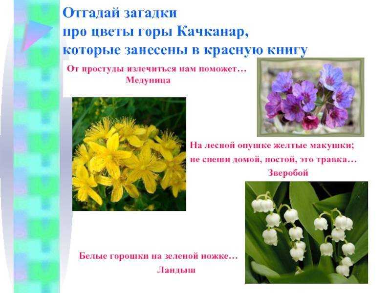 Загадки о явлениях природы с ответами для 1 класса