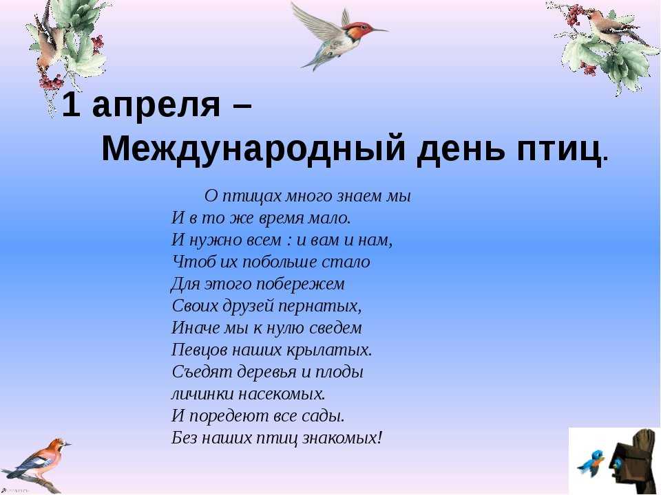 Какой была бы жизнь без песен птиц… стихи о птицах для детей
