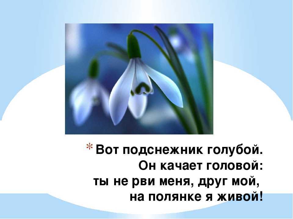 Загадки о весне для школьников и дошкольников с ответами | ckaska.ru
загадки о весне для школьников и дошкольников с ответами | ckaska.ru