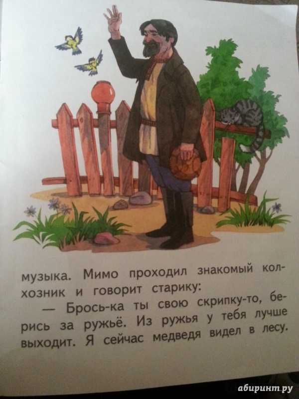 Бианки рассказ музыкант – сказка музыкант – виталий бианки: читать текст онлайн
