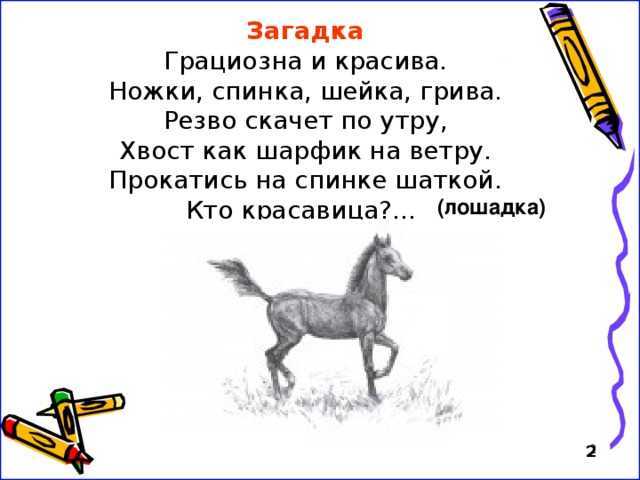 Загадки про школу: интересные, с ответами, смешные и веселые