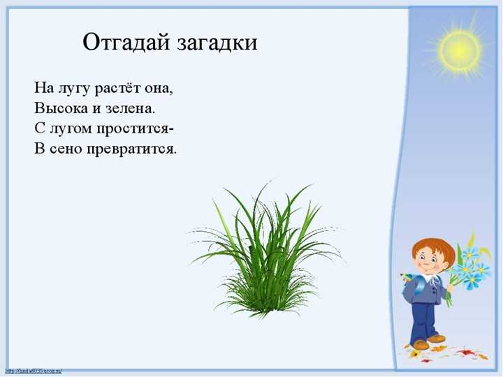 Стихи, которые стоит выучить наизусть взрослым | rl разные люди