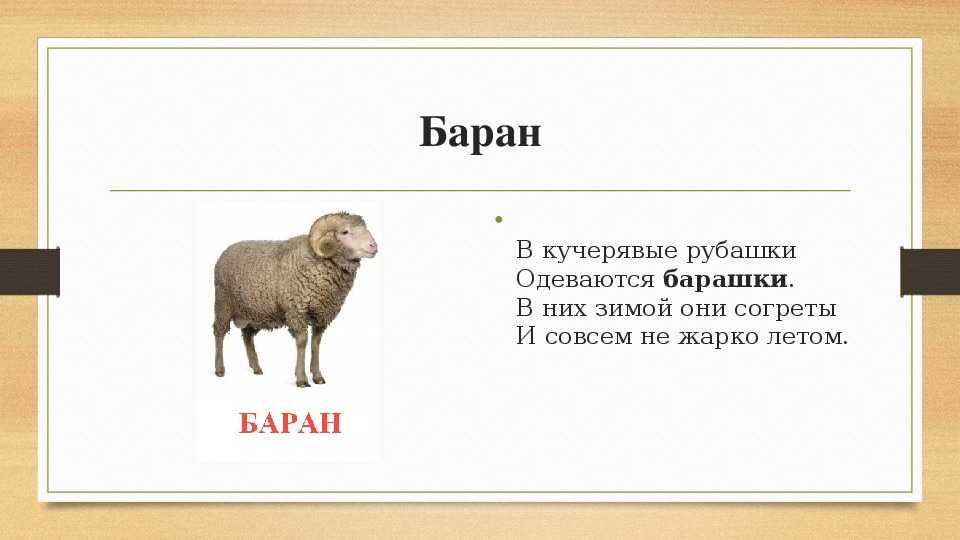 Загадки обманки на внимательность для детей