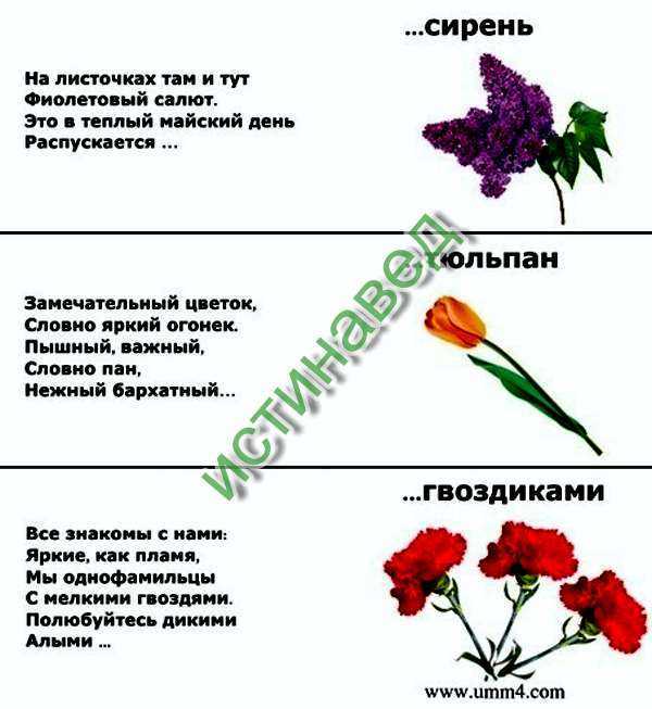 Веревка валентина 	 |
		 сочиним загадку. | журнал «начальная школа» № 11/2004
