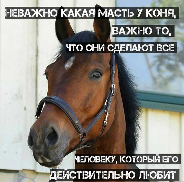 Пословицы и поговорки о детях и родителях