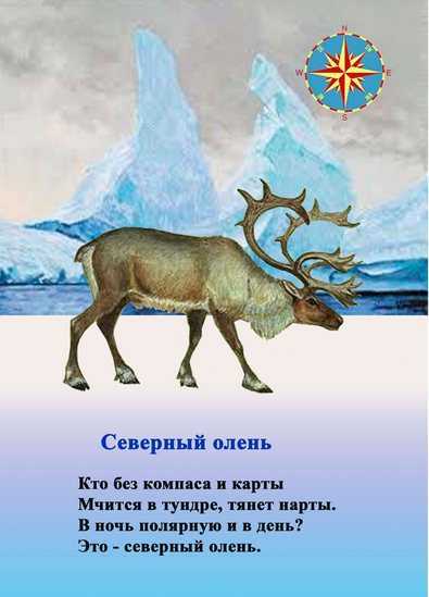 Загадки про животных для детей
