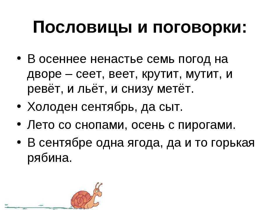 Смешные афоризмы про утро — шутки юмора