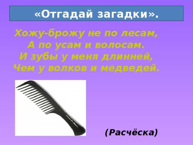 Олеся емельянова. многозначные слова (омонимы, омографы). загадки в стихах для детей (детские загадки).