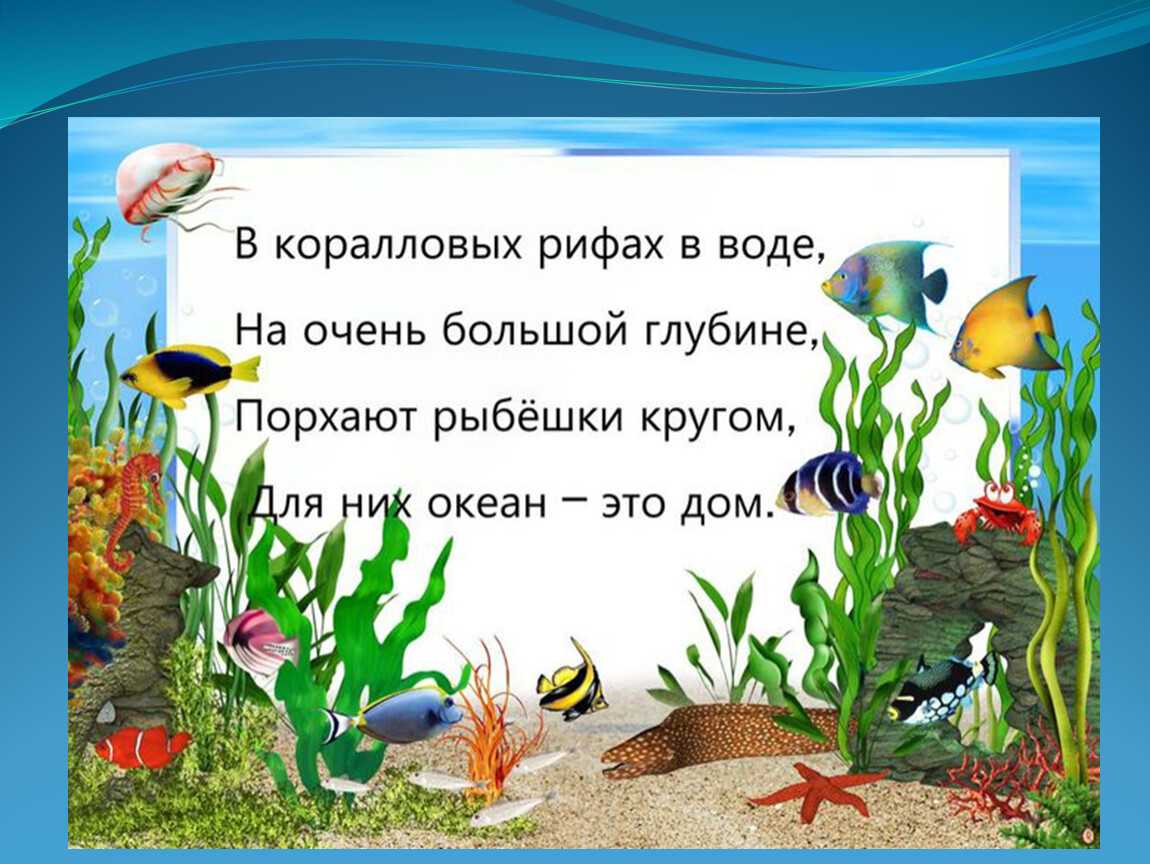 Морские стихи для детей начальной школы - справочник педагога
