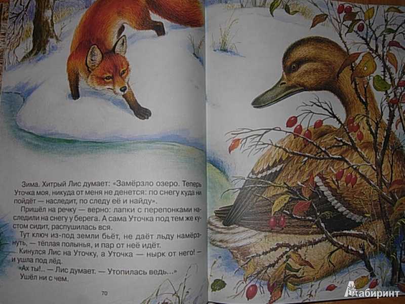 Читательский дневник «хитрый лис и умная уточка» виталия бианки