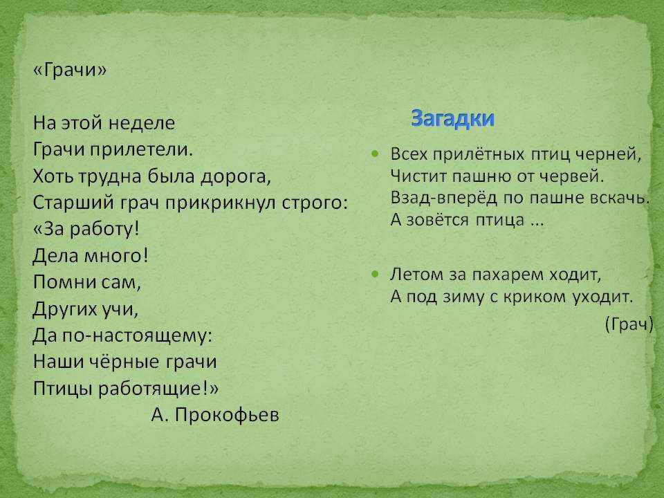 100 хитрых загадок, которые с лёгкостью отгадывали советские школьники
