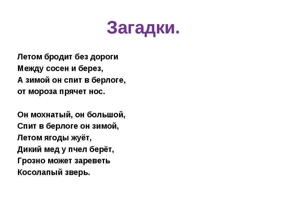 Загадки о медведе с ответами