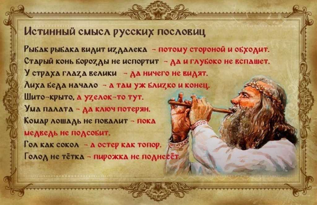 Пословицы — народные мудрости
