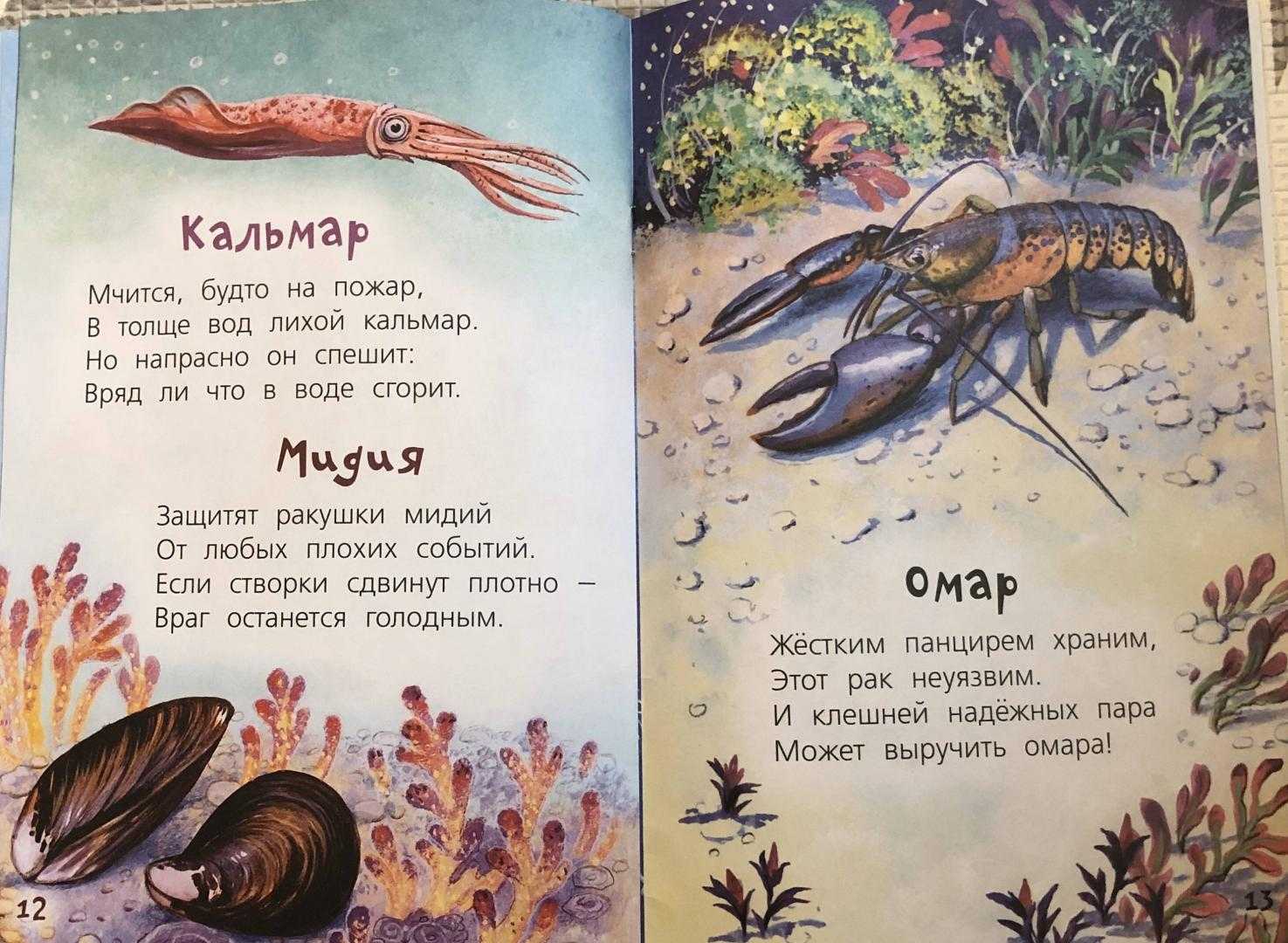 Морские стихи для детей начальной школы