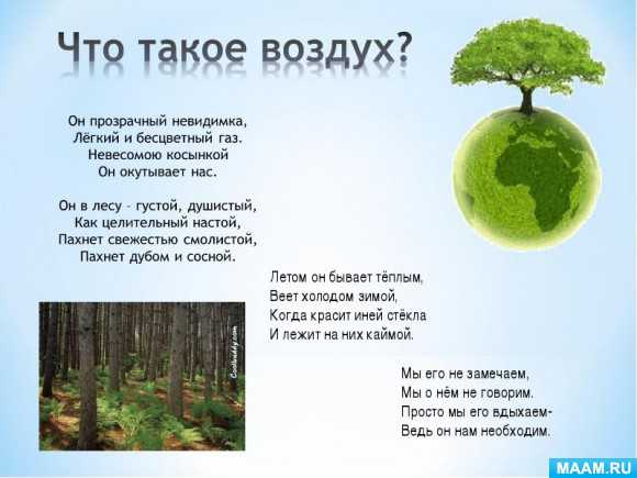 Стихи про ветер для детей