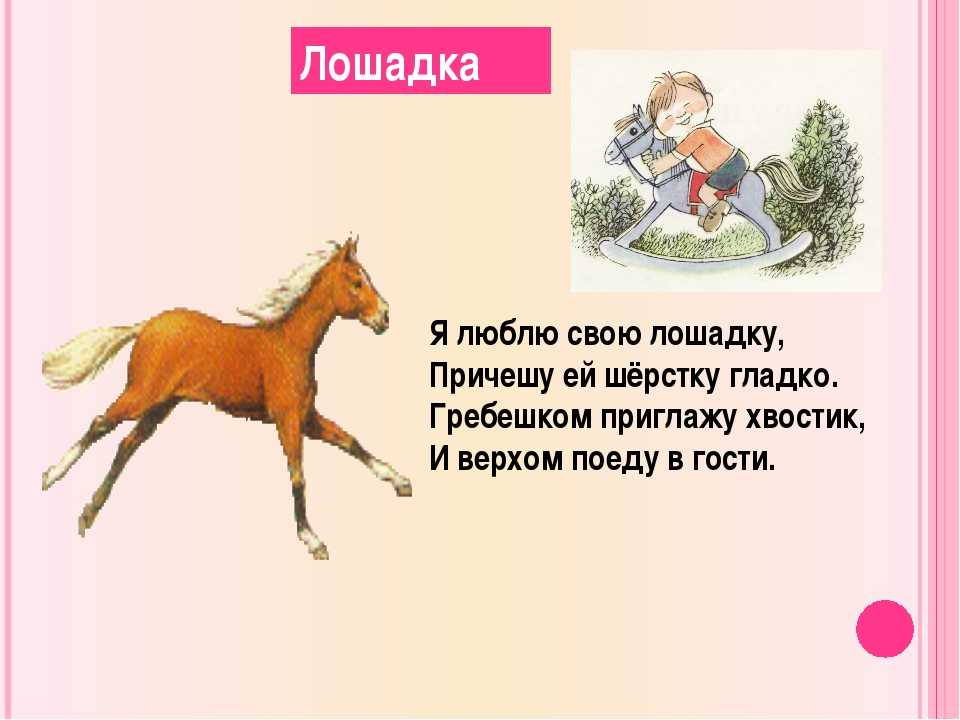 Лошадка