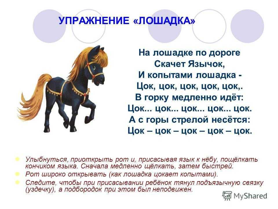 Стихи про лошадей. песни про коней и лошадок