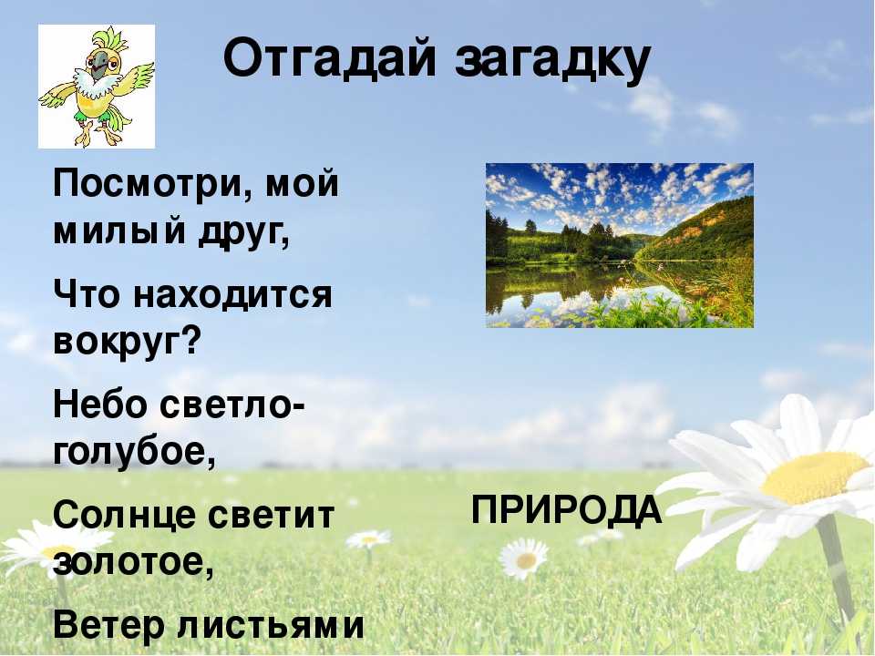 Загадки про осень для детей - 50 детских загадок на тему осень
детские загадки про осень с ответами — детский развивающий сайт "xkid"