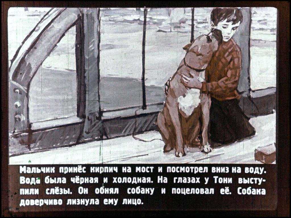 Сказки- диафильмы для детей - раиса поликарповна трефилова