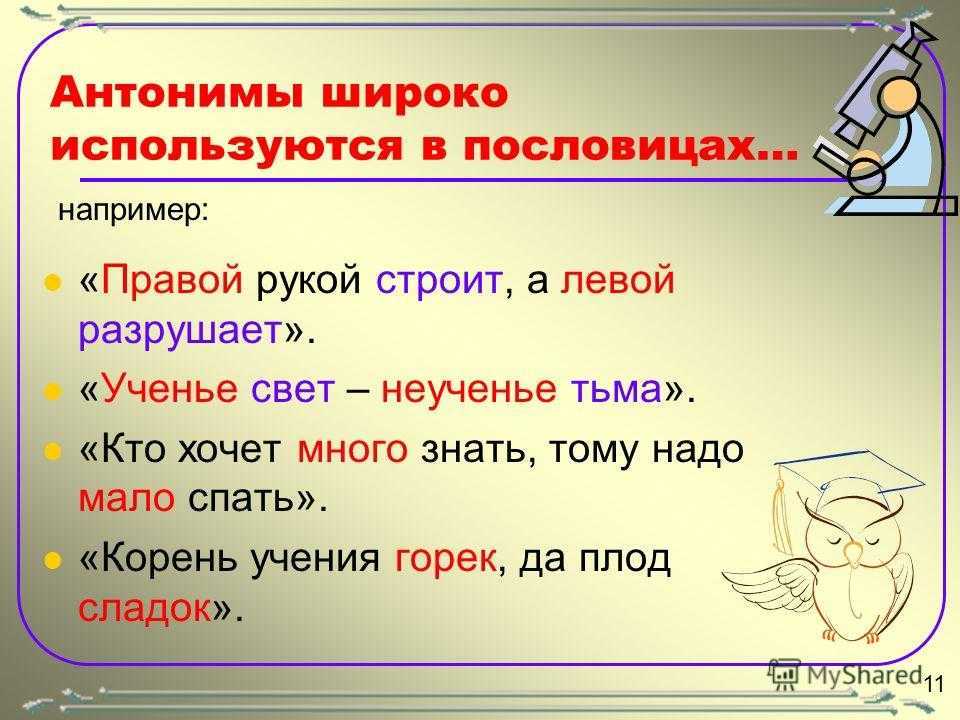 Пословицы и поговорки о языке и речи - учиться надо весело - русский язык для всех и каждого - oshibok-net.ru