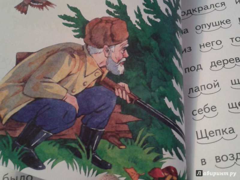 Рассказы бианки для детей 1-3 класса
