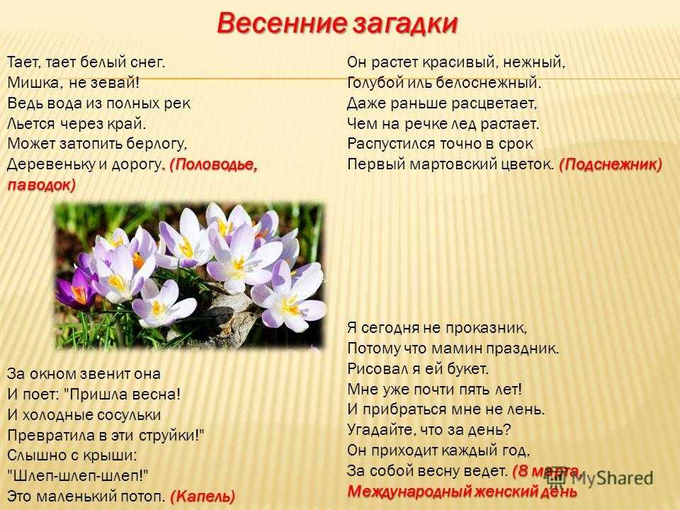 Загадки про времена года