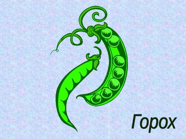 Загадки про сад и огород с ответами для 2 класса
