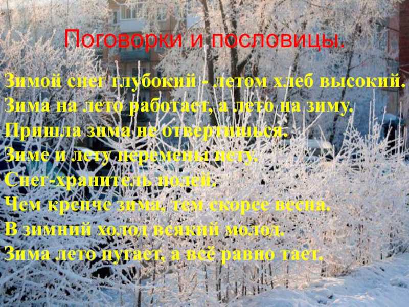Пословицы, поговорки и загадки о зиме. воспитателям детских садов, школьным учителям и педагогам