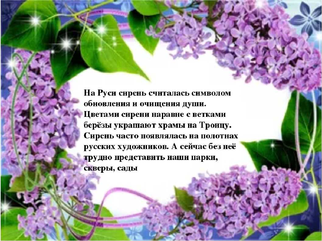 Стихомания