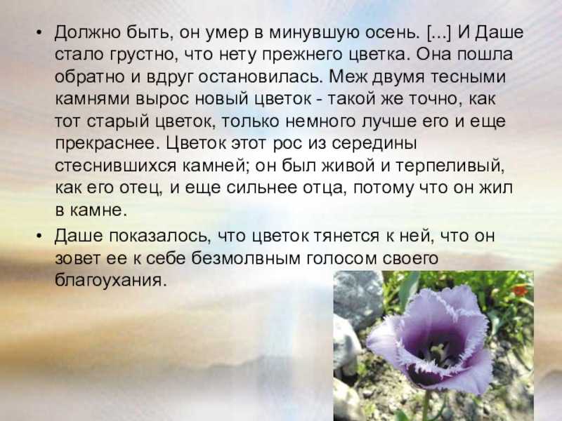 Прочитать сказку быль неизвестный цветок. андрей платонов. неизвестный цветок. сказка-быль