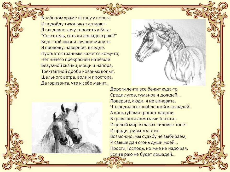 Стихи про лошадей - поэтический сборник для ребят стихи про лошадей для детей почему мамаев курган к чему снится ходить в нижнем белье