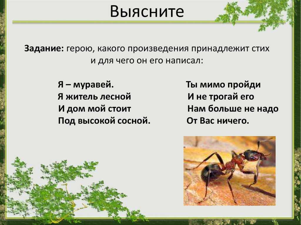 Загадки про паука с ответами для детей разгадывать онлайн