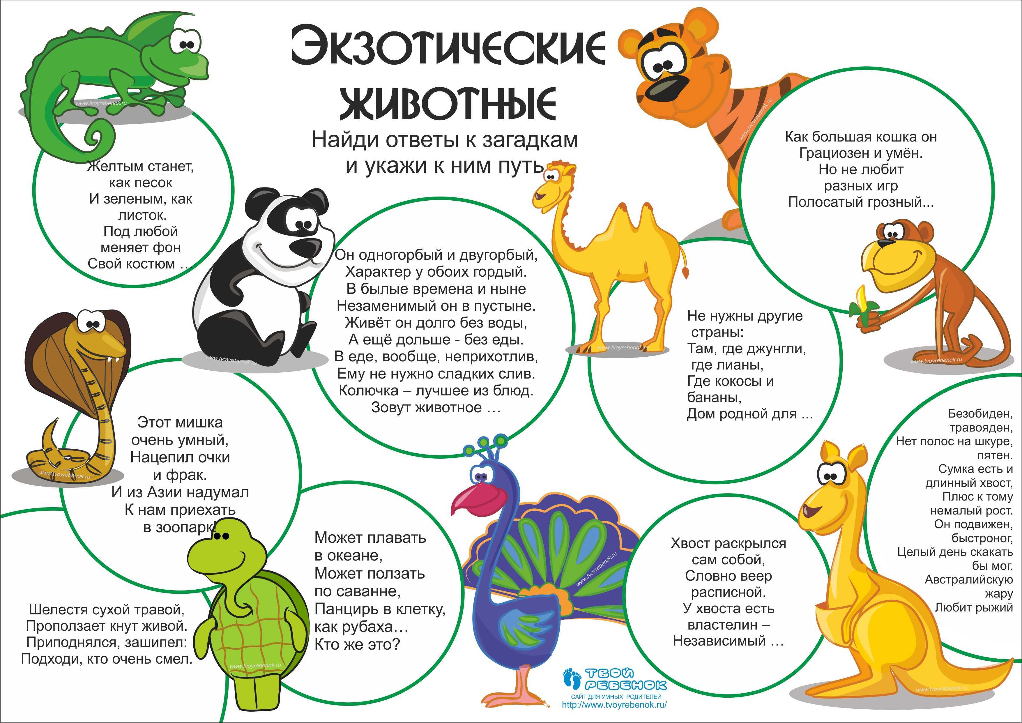 Загадки на логику с подвохом! ? выпуск №1