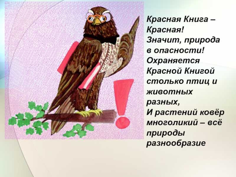 Лучшие загадки для детей 7-8 лет с ответами