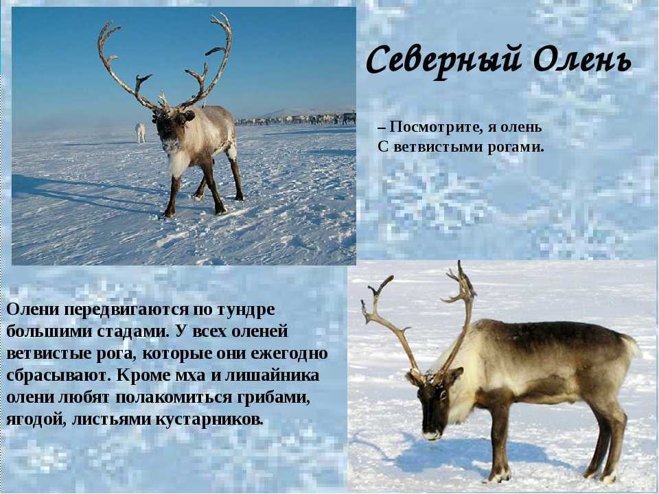 100 хитрых загадок, которые с лёгкостью отгадывали советские школьники