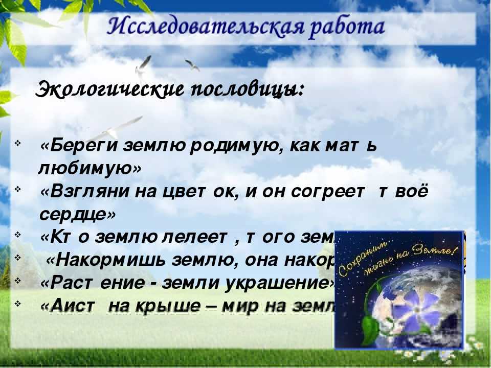 Пословицы и поговорки о природе для детей дошкольного возраста