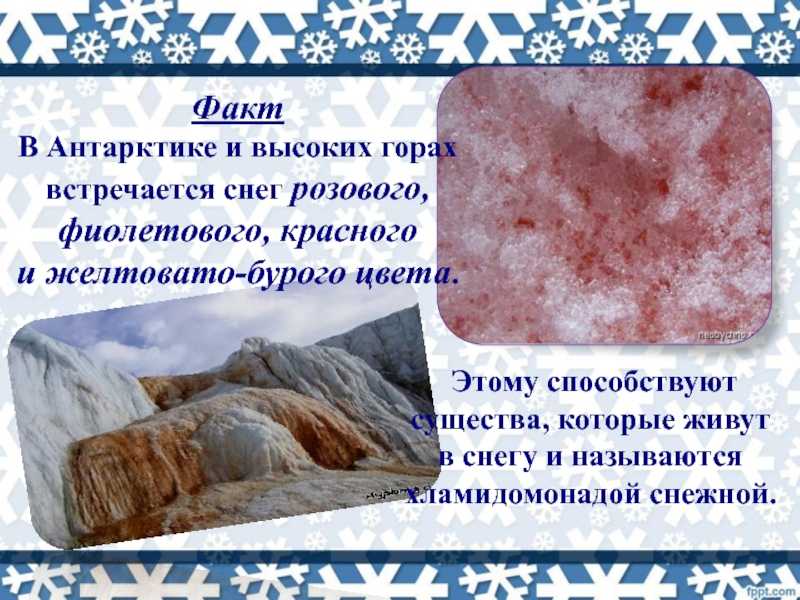 Загадки о природных явления с ответами для младших школьников