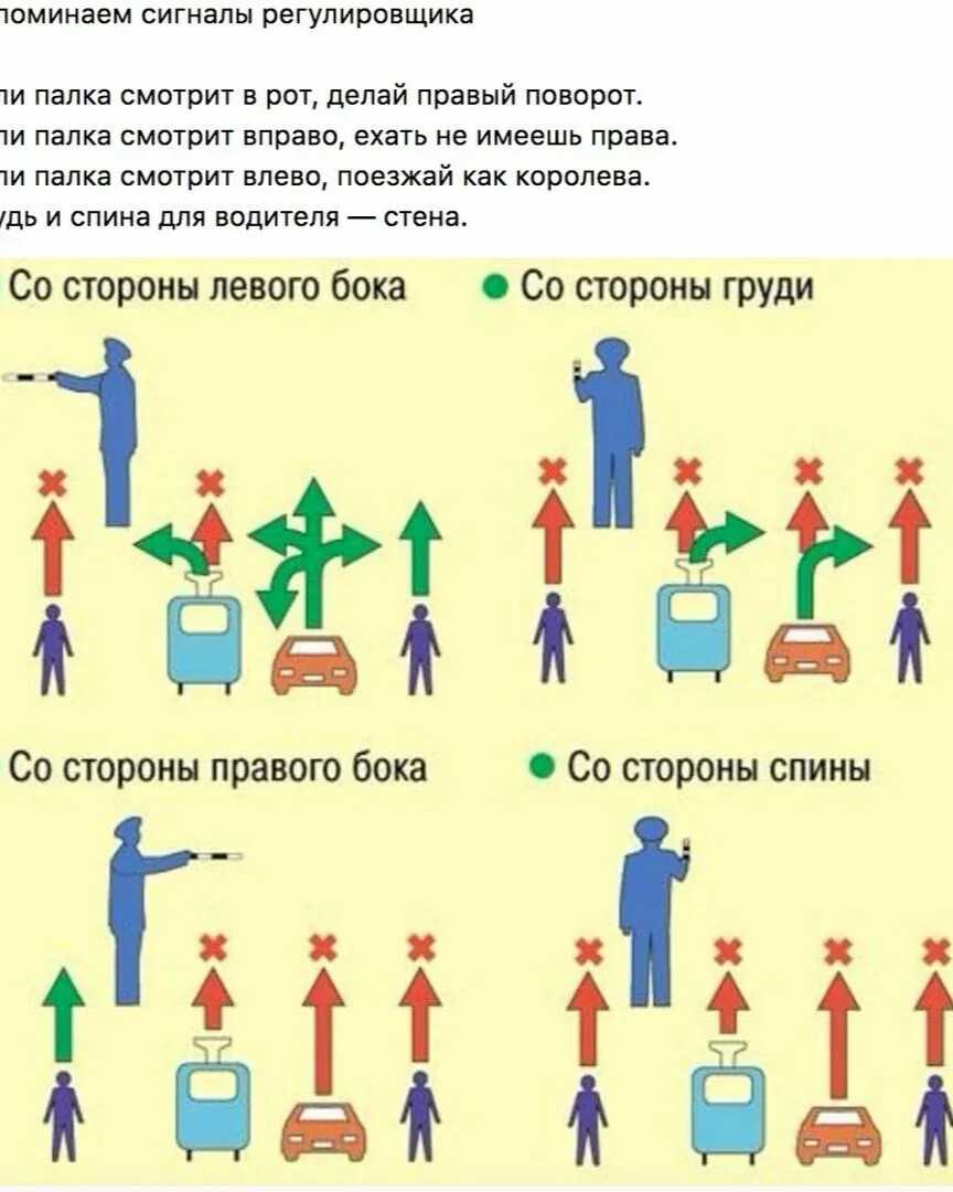 Экзамен по пдд 2023: эффективные способы быстро выучить билеты