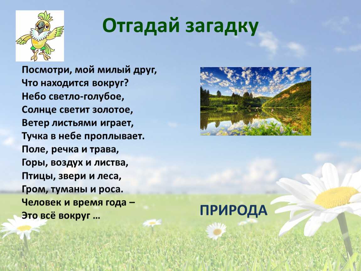 Загадка про футбольное поле сложная. я собою очень горд, ведь дарит мне здоровье спорт! загадки про спорт для детей