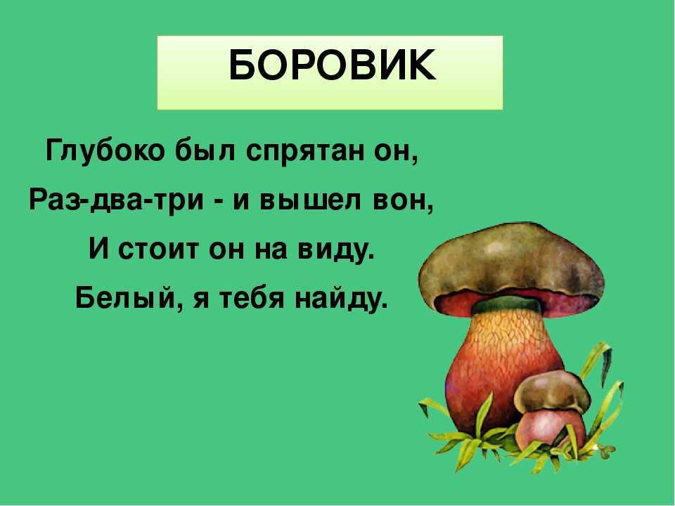 Детские загадки о грибах: загадки про грибы с ответами – всё о детях – беременность, воспитание, уроки для детей