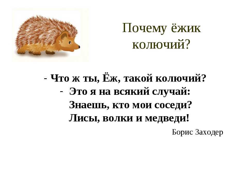 Прикольные стихи про ежика