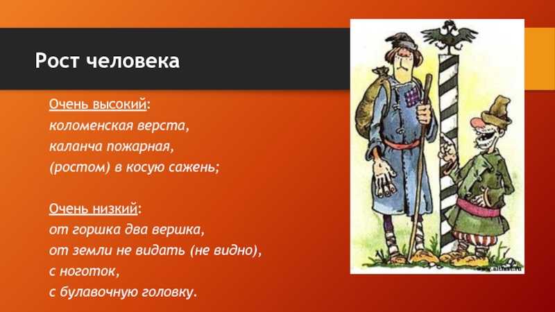 Фразеологические единицы, характеризующие человека, в современном русском языке (реферат)