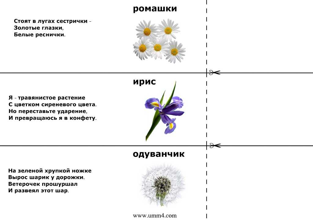 Загадки о природе для малышей. более 200 загадок с ответами