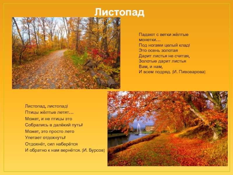 Стихи про осень для детей и взрослых: 100 самых лучших и красивых стихов про осень
