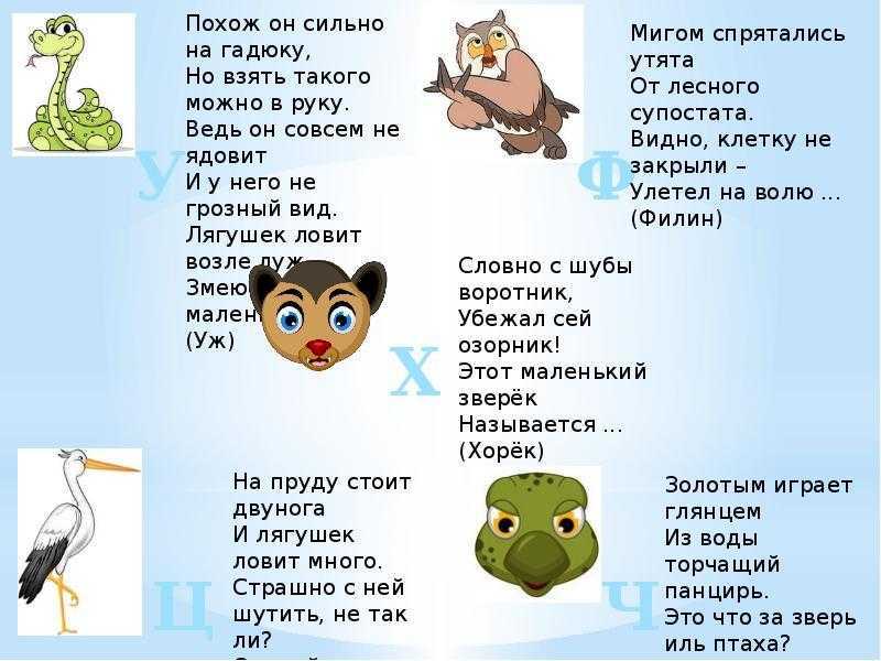 Загадки для детей (c ответами): 2000 самых интересных детских загадок ~ я happy мама