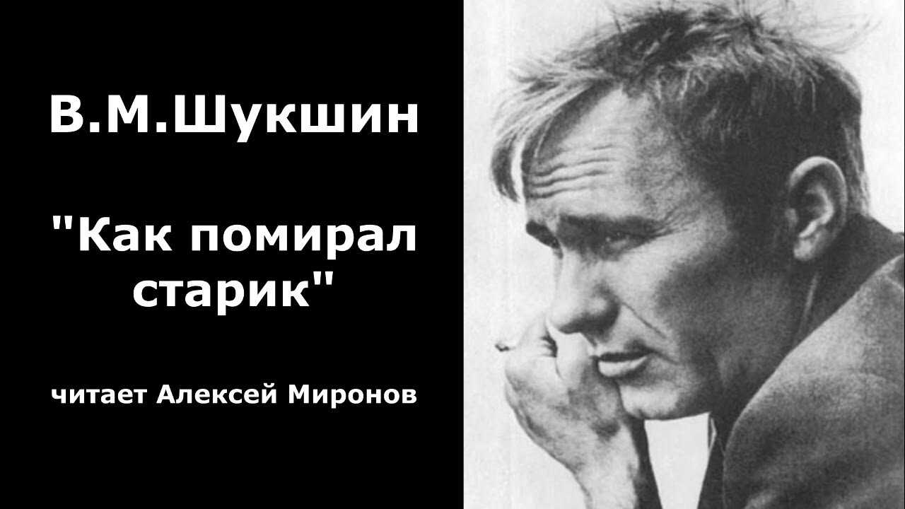 Критики - шукшин василий макарович - страница 1